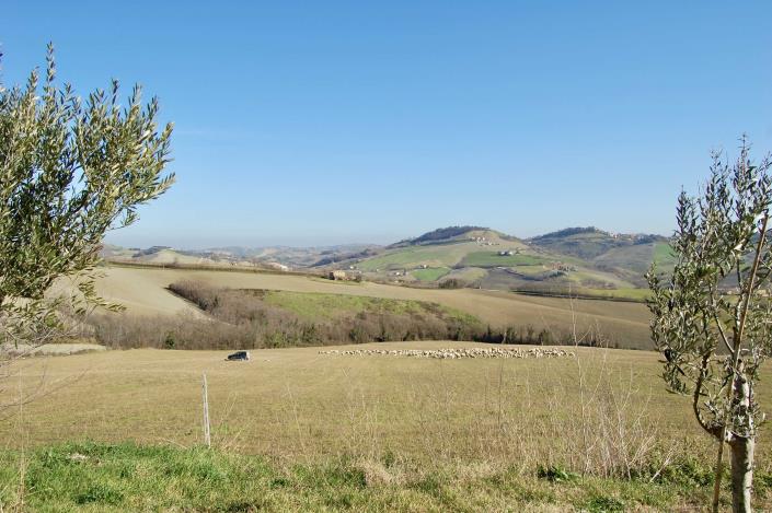 Image No.7-4 Bed Farmhouse for sale