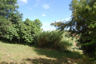 10-GIARDINO