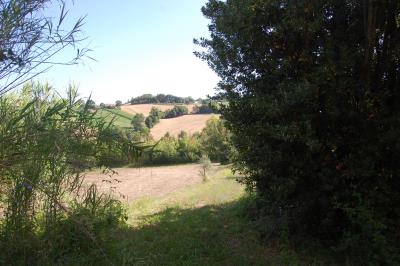 11-VISTA