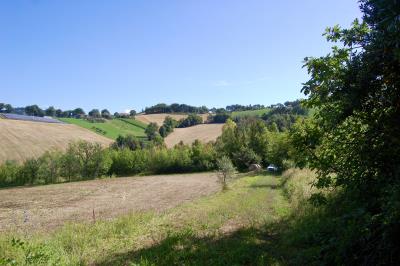 12-VISTA