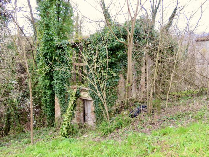 Image No.3-Grange de 1 chambre à vendre à Sarnano