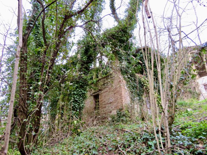 Image No.5-Grange de 1 chambre à vendre à Sarnano