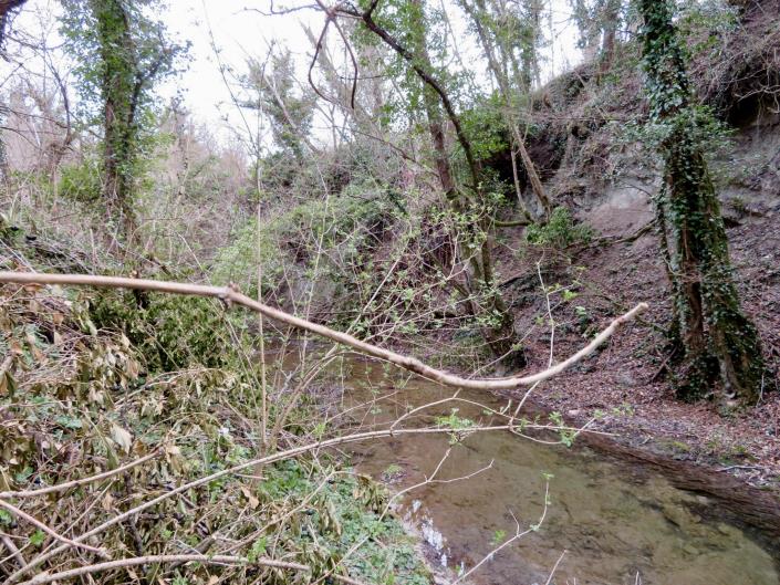 Image No.8-Grange de 1 chambre à vendre à Sarnano