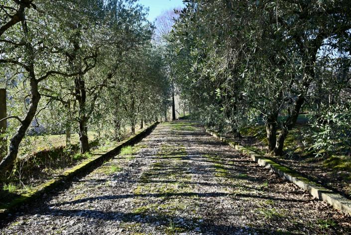 Image No.12-4 Bed Farmhouse for sale