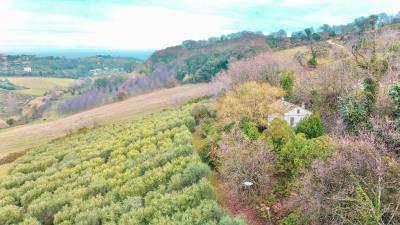 1 - Sant'elpidio A Mare, Country House