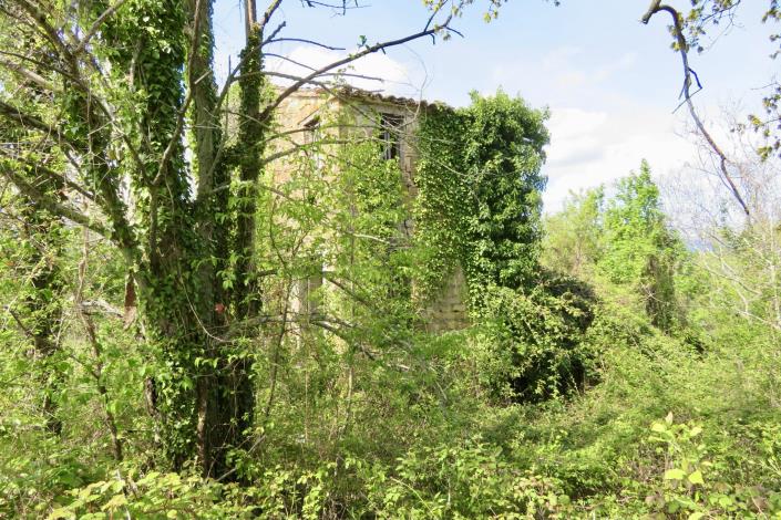 Image No.11-3 Bed Country Property for sale