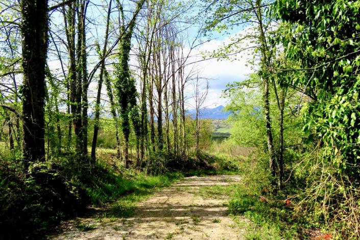 Image No.17-3 Bed Country Property for sale