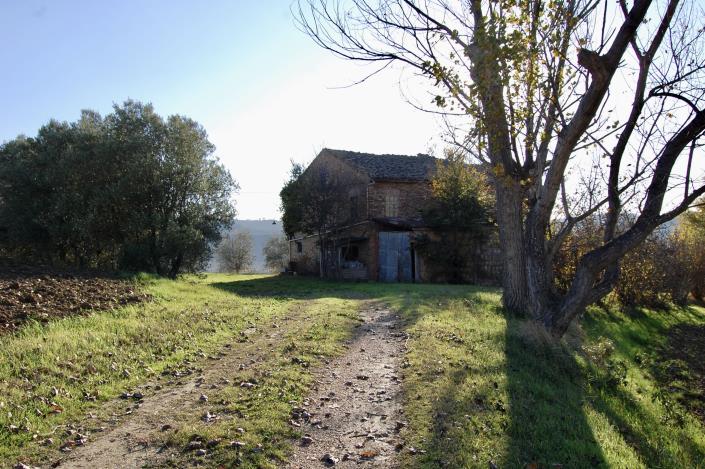 Image No.3-Ferme de 5 chambres à vendre à Montegranaro