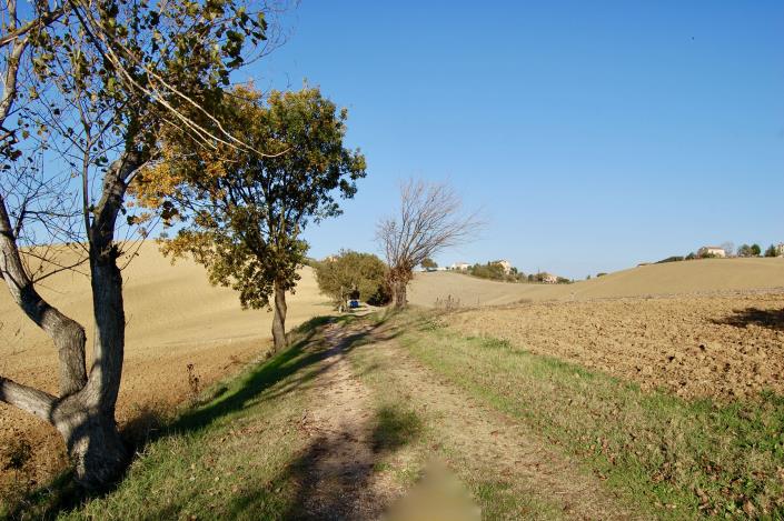 Image No.4-Ferme de 5 chambres à vendre à Montegranaro