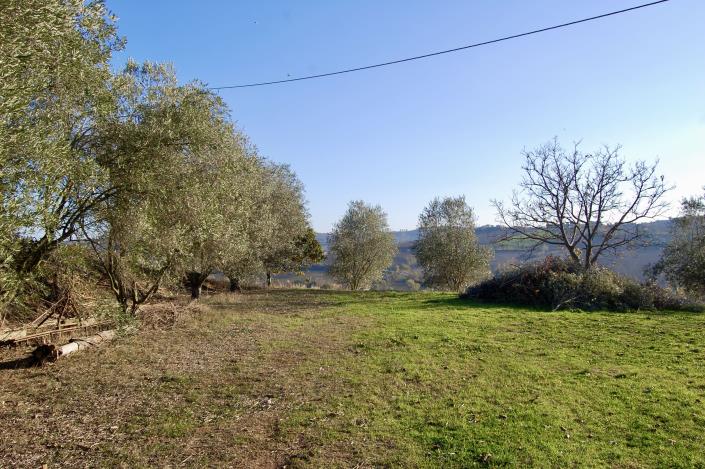 Image No.6-Ferme de 5 chambres à vendre à Montegranaro