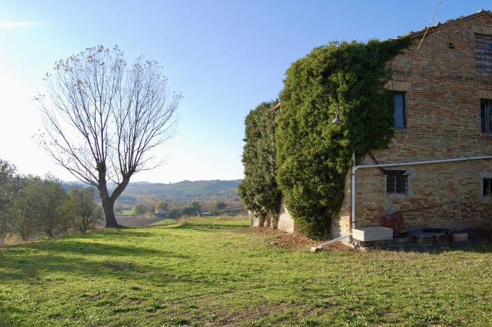 Image No.7-Ferme de 5 chambres à vendre à Montegranaro