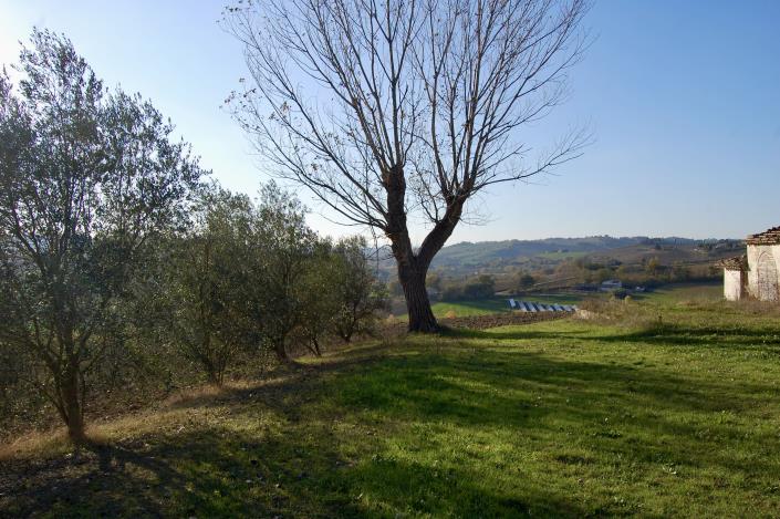 Image No.9-Ferme de 5 chambres à vendre à Montegranaro