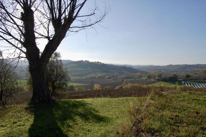 Image No.13-Ferme de 5 chambres à vendre à Montegranaro