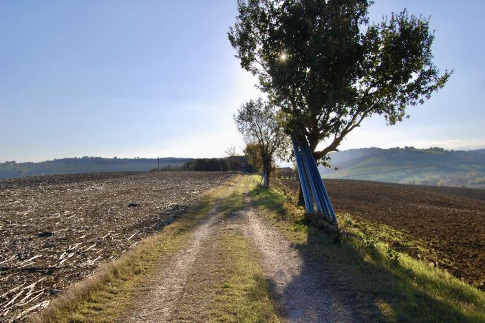 Image No.19-Ferme de 5 chambres à vendre à Montegranaro