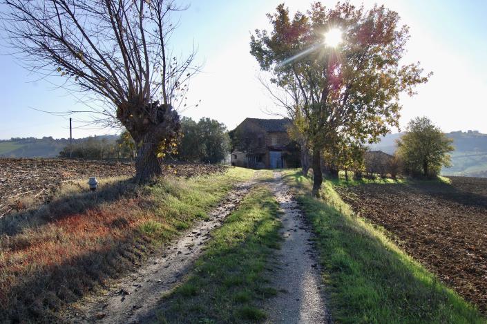 Image No.20-Ferme de 5 chambres à vendre à Montegranaro