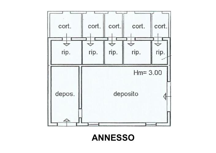 Image No.25-Ferme de 5 chambres à vendre à Montegranaro