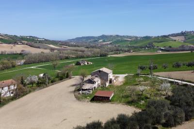 1 - Torre San Patrizio, Ferme