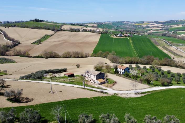 Image No.5-Ferme de 3 chambres à vendre à Torre San Patrizio
