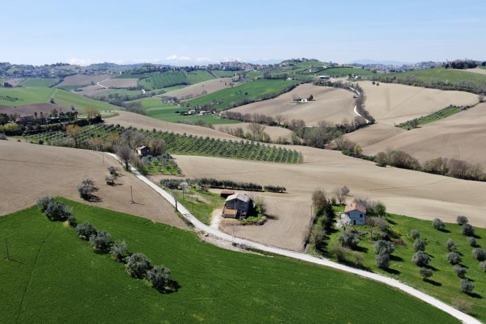 Image No.6-Ferme de 3 chambres à vendre à Torre San Patrizio