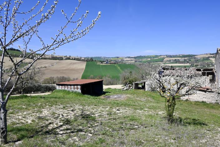 Image No.14-Ferme de 3 chambres à vendre à Torre San Patrizio