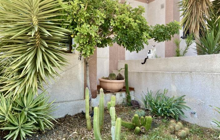 Image No.7-Maison de ville de 3 chambres à vendre à Playa Paraiso