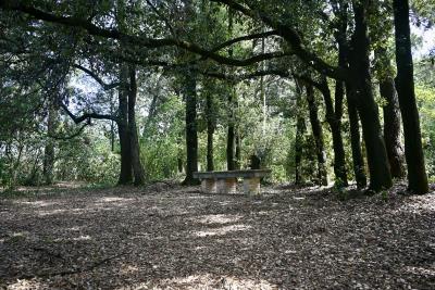 18-PARCO-min