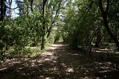 19-PARCO-min