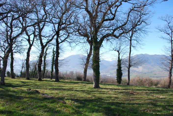Image No.13-Propriété de pays de 5 chambres à vendre à Castel Sant'angelo