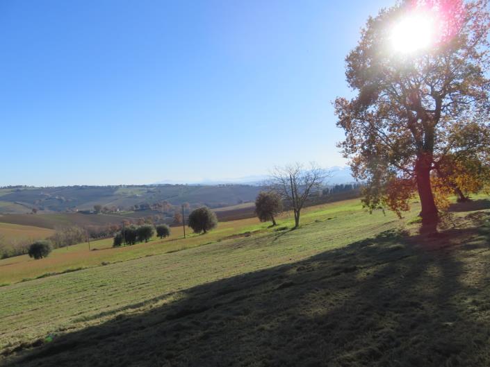 Image No.20-Propriété de pays de 10 chambres à vendre à Appignano