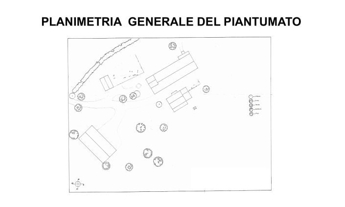 Image No.24-Propriété de pays de 10 chambres à vendre à Appignano