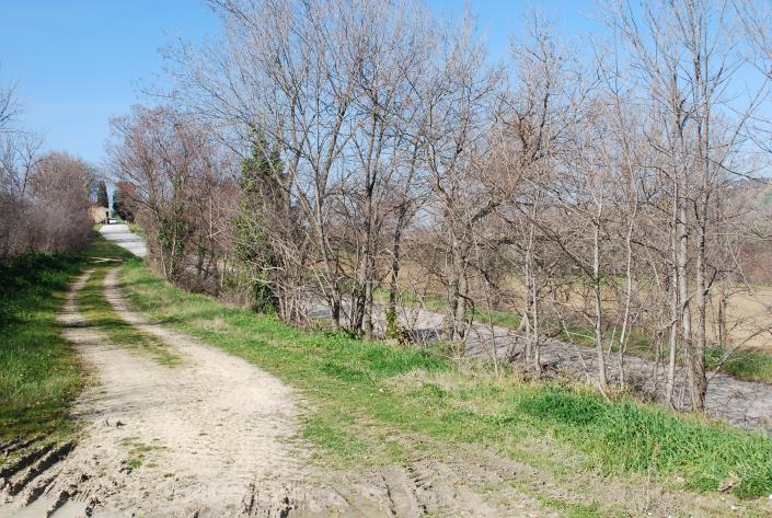 Image No.8-Country House for sale