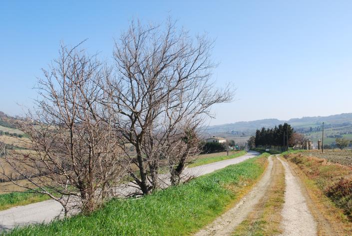 Image No.9-Country House for sale