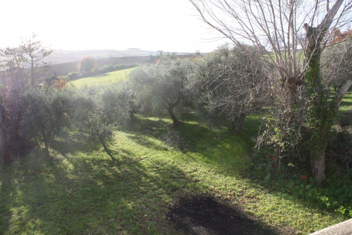 Image No.14-4 Bed Farmhouse for sale