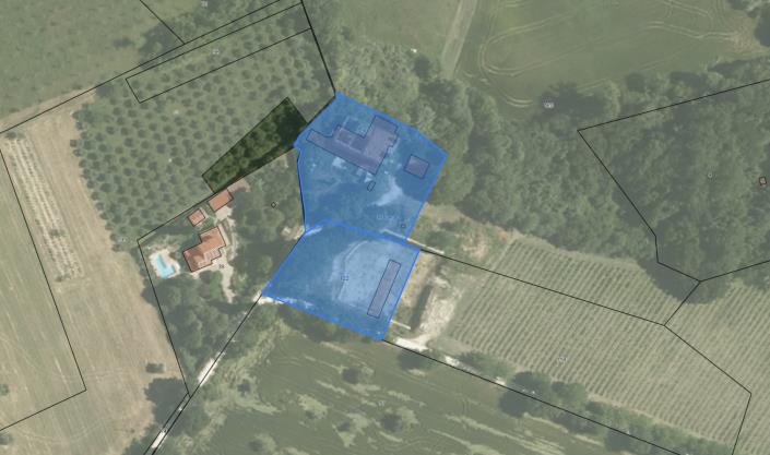 Image No.8-Vineyard for sale