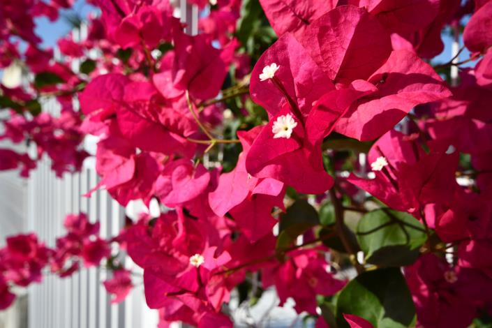 Image No.28-Appartement de 2 chambres à vendre à Hacienda del Alamo