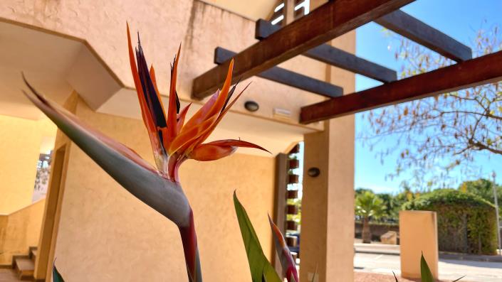 Image No.5-Appartement de 2 chambres à vendre à Hacienda del Alamo