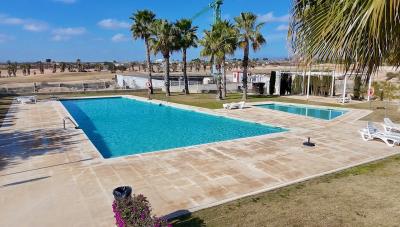 IMG_0787---copia