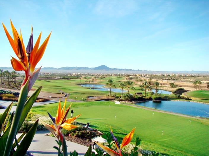 Image No.41-3 Bed Villa for sale