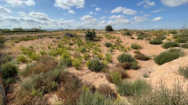 Image No.36-4 Bed Land for sale