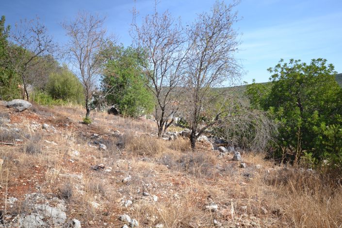 Image No.18-Terrain à vendre à Loule