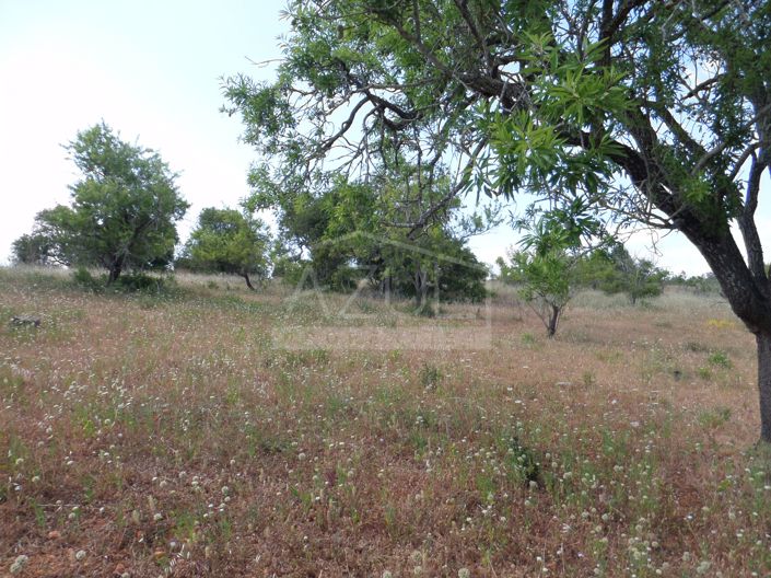 Image No.10-Plot for sale