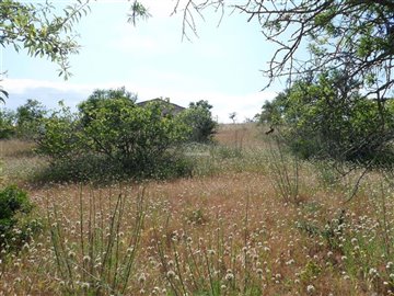 2425-76747-1254606e3c95c5e5ce938638595c7f664a