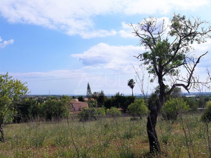Image No.4-Plot for sale