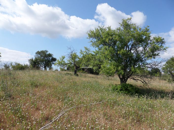 Image No.5-Plot for sale