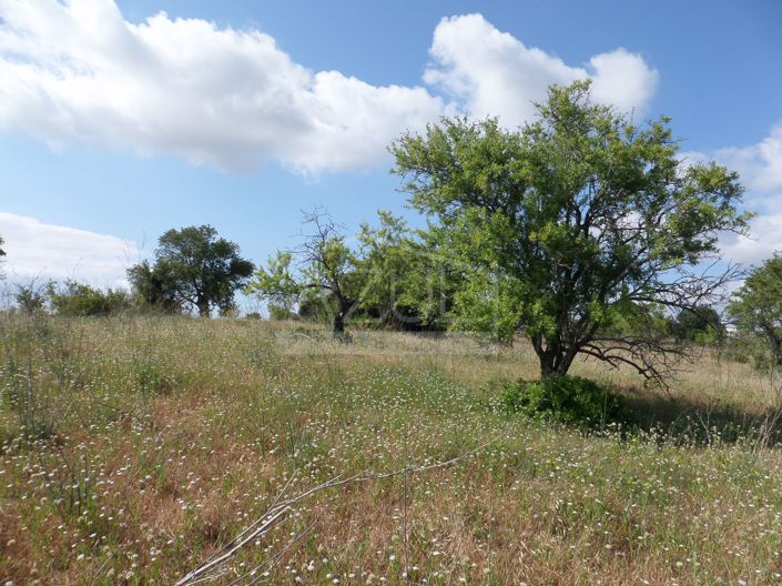 Image No.5-Plot for sale