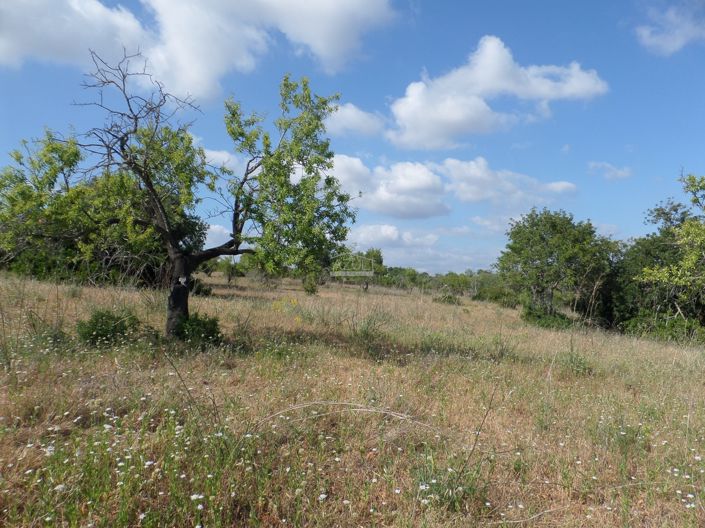 Image No.7-Plot for sale