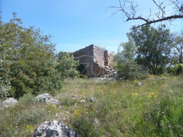 1 - Loule, Plot