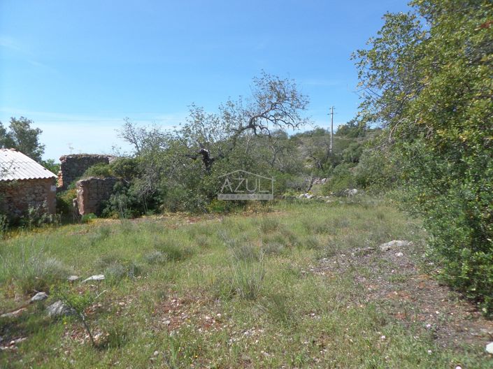 Image No.3-Terrain à vendre à Loule