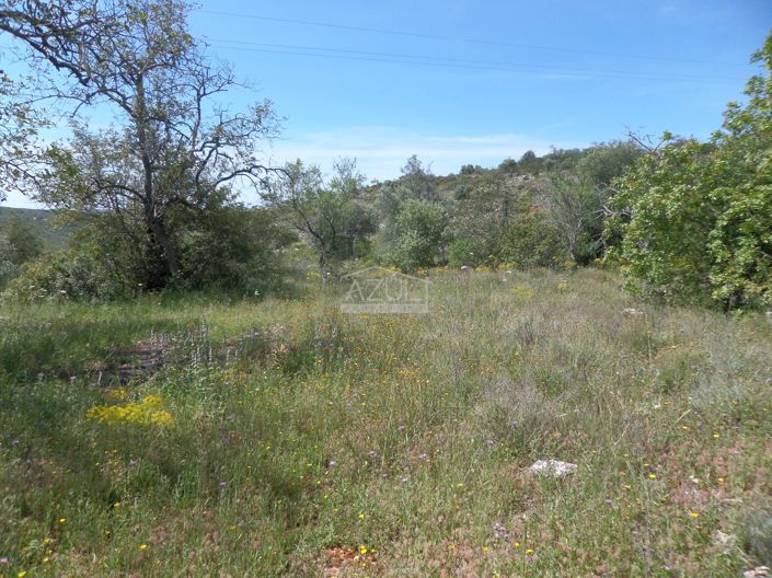 Image No.5-Terrain à vendre à Loule