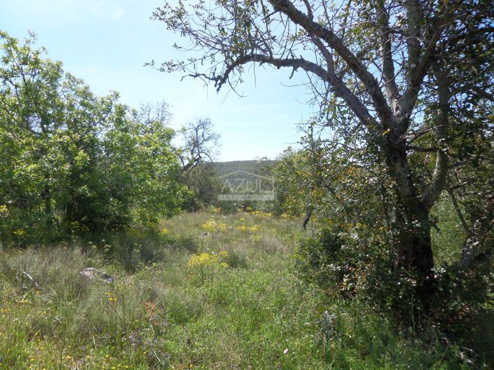 Image No.7-Terrain à vendre à Loule